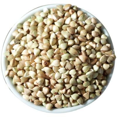 China Buckwheat Cereal Dried Healthy Raw Raw Buckwheat Rice for sale