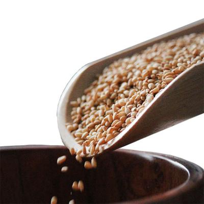 China Dry Natural Organic Cooked White Sesame Seed for sale