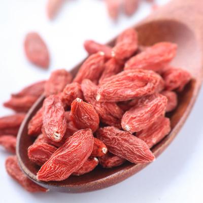 China Beauty and Natural Anti Aging Factory Supply Medlar Dried Lycium Barbarum Goji Red Berry for sale