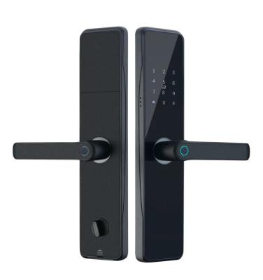 Cina OEM ODM Black RFID Smart Door Lock con impronte digitali e password in vendita