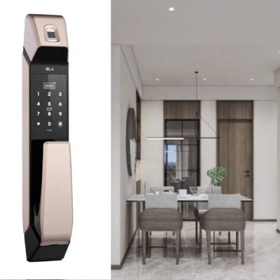 China OEM ODM Fingerprint Handle Door Lock Face Recognition Zinc Alloy Material for sale