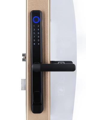 China Home Sliding Smart Door Lock Electronic Fingerprint Door Lock for sale