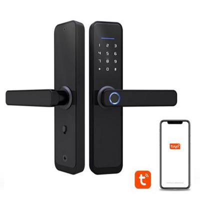 Cina Blocco porta a impronte digitali multifunzione Smart Home Password Gate Lock in vendita