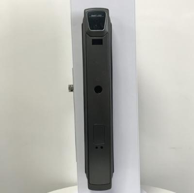 China Intelligent Digital Face Recognition Door Lock Fingerprint for apartments for sale