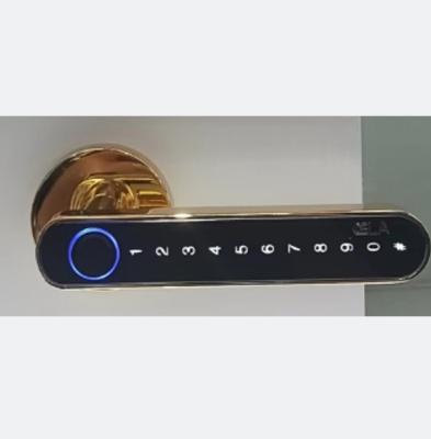 China OEM ODM Push Pull Door Lock Digitaal Wifi Sleutelloze toegangsdeur slot Te koop