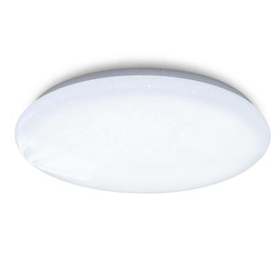 China Easy Installation Customized Big Round Lamp Voice Control Led Modern Flush Mount Smart Home Ceiling Lights Fixture For Living Room for sale