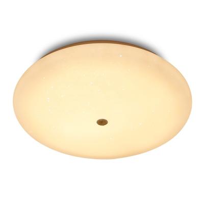 China Easy Installation 45W Bulb Smart Voice Control Dimmable Modern Ceiling Lamp Led Flush Mount Ceiling Lights for sale