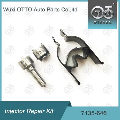 China 7135 - 646 Delphi Injector Repair Kit en venta