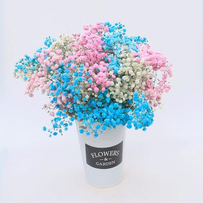 China Gypsophila Preserved Flowers Dried Flowers Babies Breath Gypsophila For Wedding Decoration Home Decoration for sale