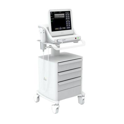 China Safety Ultrasound HIFU Machine 10000 Shots 15 Inch Medical Face Lift Machine for sale