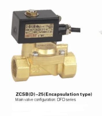 Cina Elettrovalvola a solenoide d'ottone del diaframma dell'elettrovalvola a solenoide di anti esplosione 24VDC in vendita