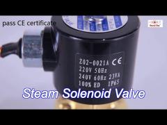 Brass Steam Solenoid Valve