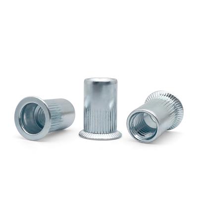 China Newest Selling Heavy Industry Hot Flat Head Rivet Nut Corrosion Resistant Pressure Riveting Nut For Furniture for sale