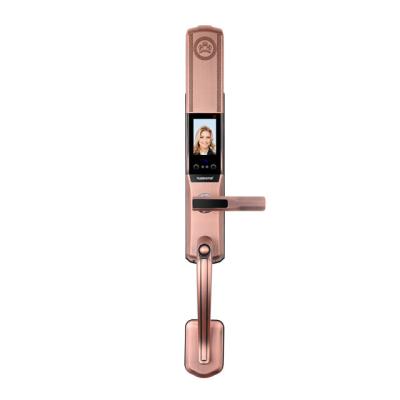 China Apartment Huarui HR805 plus recognition smart face camera digital door lock for sale