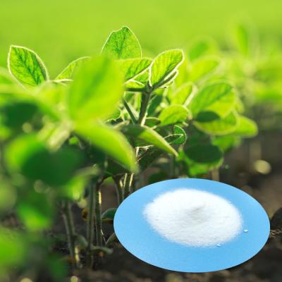 China Dr Aid Kno3 Potassium Nitrate Agricultural Fertilizer 2.109 G/Cm3 For Garden Rice Plants for sale