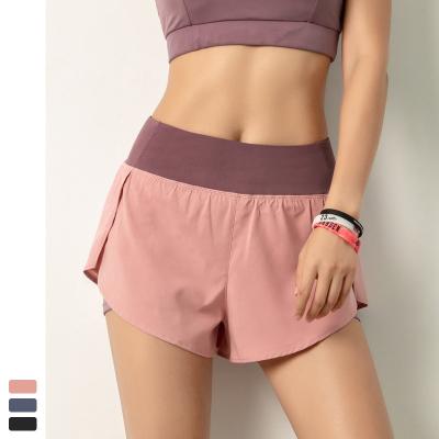 China New European and American fitness QUICK DRY plus size running women's yoga shorts summer hot sale gym shorts pants woman quick dry for sale