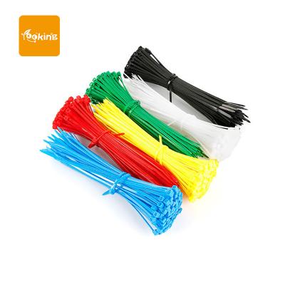 China Plastic Eco - Friendly Indoor Playground Plastic Self Locking Nylon Cable Tie for sale