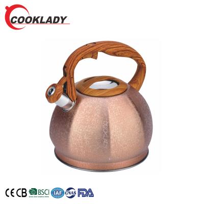 China Durable Good Quality Stainless Steel Teapot Handle Kitchen Induction Cooker Or Gas Stove Whistling Kettle for sale