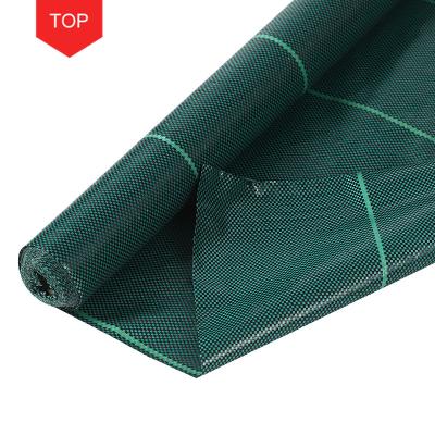 China Manufacturer Agricultural Professional Factory Cultivation Outdoor Plants Prevent Weed Grass Mat Fabric Black Ground Cover for sale