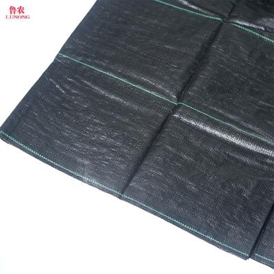 China Agriculture Cultivation Anti Grass Control Mesh, Weed To Prevent Cloth, Weed Carpet Mat for sale