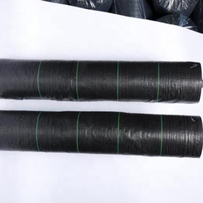 China Cultivation agricultural factory produces 55g-200g 100% Green Line agriculture weed control anti-UV pp woven fabric mulching film for sale