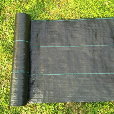 China China Manufacturer Agriculture Green Pp Woven Fabric Tree Weed Control Plant Cover Anti Crop UV Mat for sale