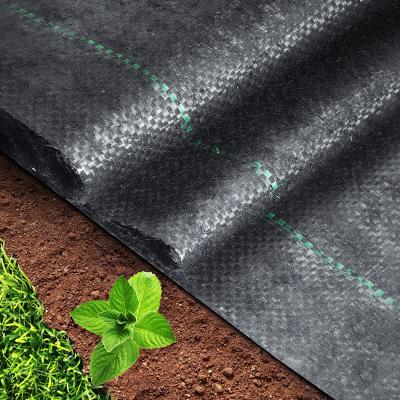 China Factory Price Agriculture Greenhouse Greenhouse Plant Cover Tree Weed Control PP Woven Cloth Agricultural Anti Cultivation Mat for sale