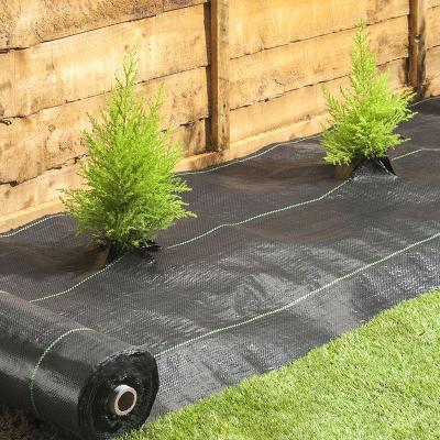 China Hot Sell Agriculture Greenhouse Greenhouse Plant Cover Tree Weed Control PP Woven Cloth Anti UV Mat for sale