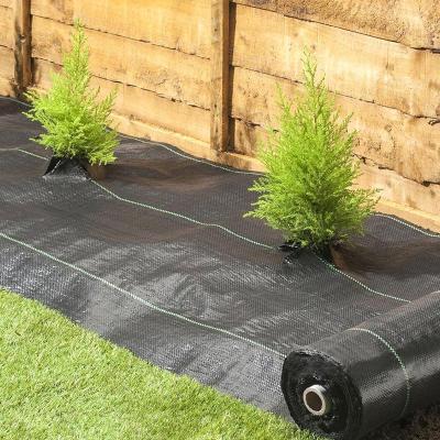 China Agricultural Crop Agrofibs Hdpe/Pe/Pp Weed Control Mat Woven Landscape Fabric for sale