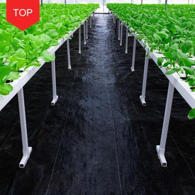 China Agricultural Cultivation Permeable And Breathable Plastic Products Weed Anti-Aging Mat for sale