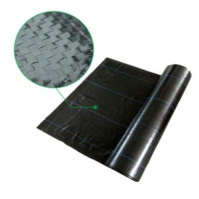 China Black crop agriculture agriculture or 100% green anti grass pp woven weed control landscape fabric for sale