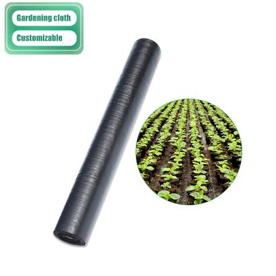 China Landscape Agricultural Cloth Ground Cover Cultivation Plastic Weedmat Mulch for sale