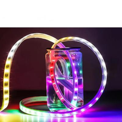 China Outdoor Lighting 24V 10m Waterproof IP65 Dimmable 24LEDs/M 5050 LED RGB Strip Light for outdoor for sale