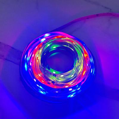 China Light strips ZZY SMD2835 H6150 12V LED tape light 60 LEDs  led flexible strip light for decoration for sale