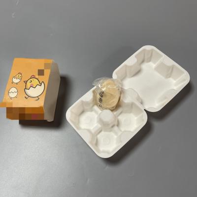 China Eco-friendly Biodegradable Wet Press Sugarcane Bagasse Pulp Molded Packaging Box For Cosmetics Tool for sale