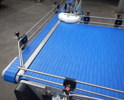 China Heavy Duty Oil Meat Poultry Vegetables Fruit Food Grade PP POM Plastic Flexible Inclined Modular PU Belt Conveyor System for sale