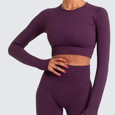 China Custom Logo Gym Fitness Wear Seamless Anti-Static Full Fit Shirt Women Workout Long Crop Tops for sale