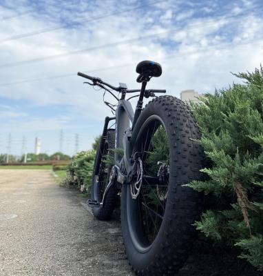 China OEM factory made high quality 48v 1000w carbon fiber Fatbike with Bafang M620 motor mid suspension Toray T800 full carbon slant ebike for sale