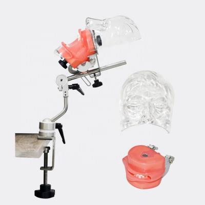 China Medical and Biological Teaching Aid Dental School Students Training Phantom Model Simulator Practice System Student with Tooth Models for sale