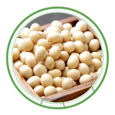 China Dried Non GMO Soybeans / High Quality Soy Bean For Sale for sale