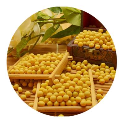 China NON-GMO Dried Soybeans Available For Cheap Price Yellow Soybeans for sale