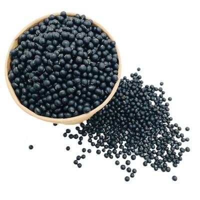 China New Culture Dry Original China Black Bean With Green Kernel Black Soybean For Export for sale