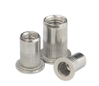 China Industry OEM Metal 304 Stainless Steel Hardware Accessories Custom Self Locking Nut Embedded Lock Nuts for sale