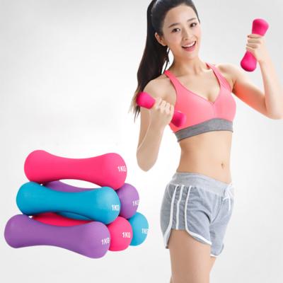 China Mini Import Bone Iron 1kg Handle Dumbbell Bar Price Comfortable And Soft/Waterproof Woman Twist Cast Iron for sale