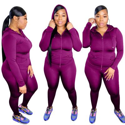 China 2021 autumn women clothes breathable female 2 piece outfits plus size 5xl women sweatsuit women hoodie sets for sale