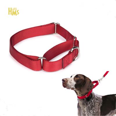 China Light Up HMS Wholesale Excellent Quality Adjustable Pastel Nylon Collar For Dog Metal Buckle Large Dog Martingale Leather Dog Collar for sale