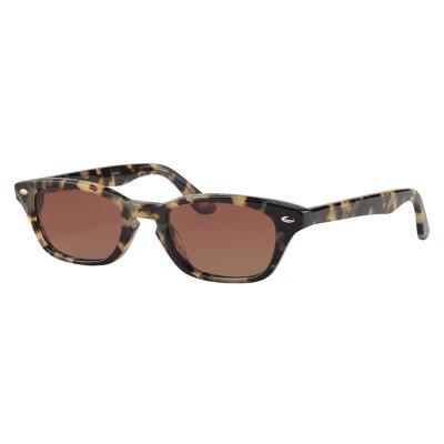 China Fashion Sunglasses TBSA606 Small Leopard Print Acetate Polarized Sunglasses for sale