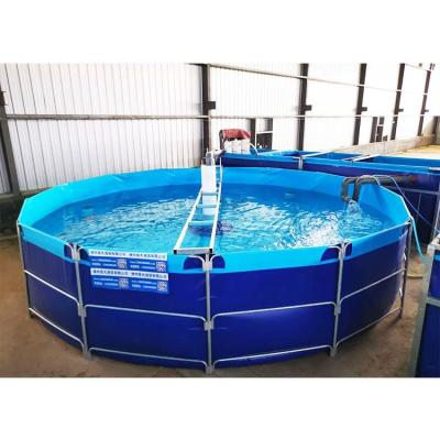 China Newly Listed Modern Popular Farming Tank Plastic Big Aquaculture Fish Tanks for sale