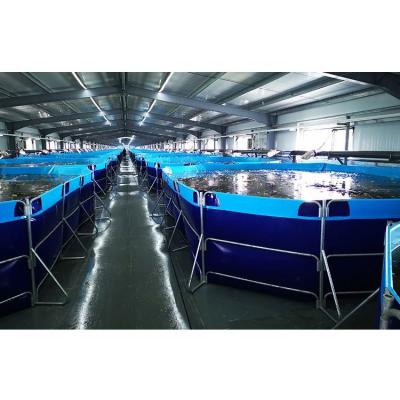 China Factory Direct Sale Tanks Commercial Large Tank Fish Pond For Hydroponic Water Treatment for sale