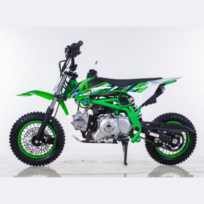 China Tao Motor DB20 Green Mini Cross Bike Petrol Mini Bike 10inch for sale